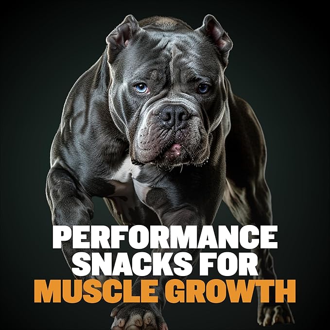 Bully Max Premium High Protein Dog Treats for Puppy & Adult Dogs - Training Dog Food Treats with 40% Protein, Real Meat, Veggies & BCAAs for Small, Medium & Large Breeds - Chicken Flavor (2 Pack)