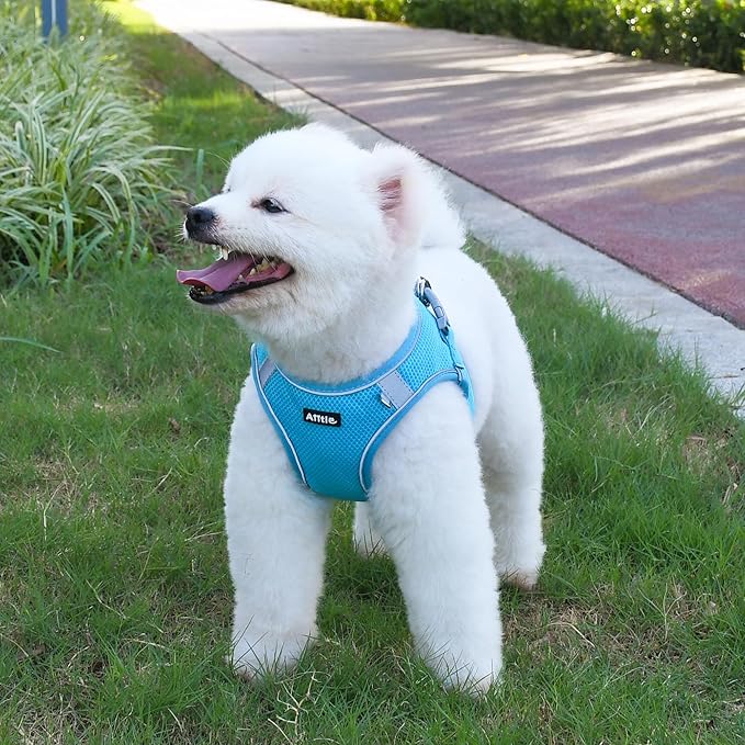 AIITLE No Pull Dog Harness and Leash Set, Step in Adjustable Dog Harness with Padded Vest for All Weather, Reflective Pet Harness, Easy to Put on Small Dogs Blue S