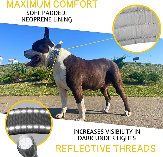 ADITYNA Heavy Duty Dog Collar for Extra-Large Dogs - Reflective Gray Collar with Handle for Training, and Walking - Wide, Thick, Tactical, Soft Neoprene Padded