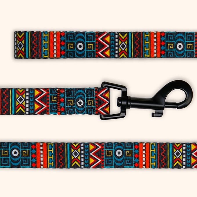 CollarDirect Aztec Dog Leash Nylon Tribal Pattern Cat Pet Leashes for Small Medium Large Dogs Puppy Lead 5 FT Long for Walking (Ethnic Teal, S, New)