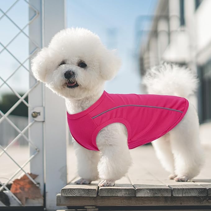 PUMYPOREITY 2Pack Dog Shirt for Small Dogs with Reflective Strip Safety for Night Walking, Soft Breathable Stretchy Tank Top Vest, Lightweight Stretchy Puppy Shirt, Pink, XS
