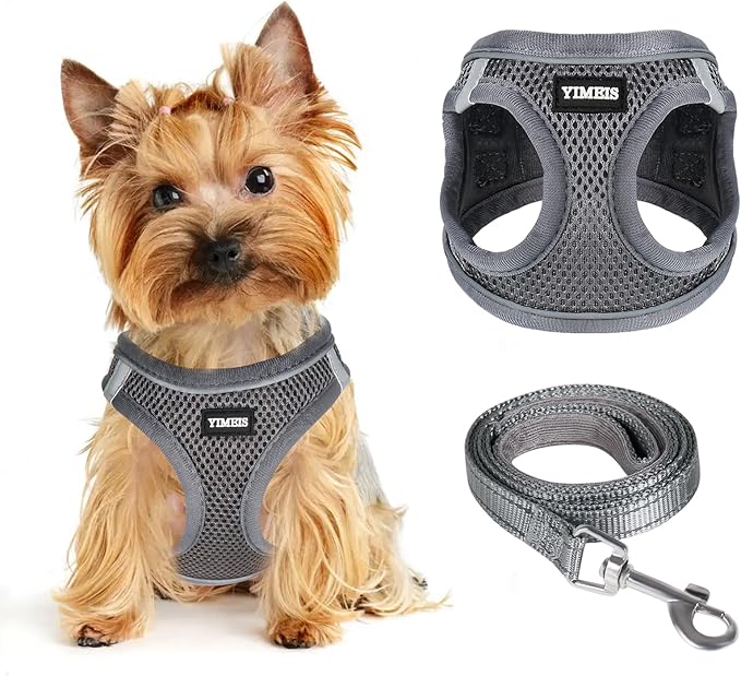 Dog Harness for Small Dogs and Leash Set, Honeycomb Grid, Reflective Lightweight Harness & Anti-Twist Pet Lead (Multi Color, Size: XS-S-M) (XS, Grey)