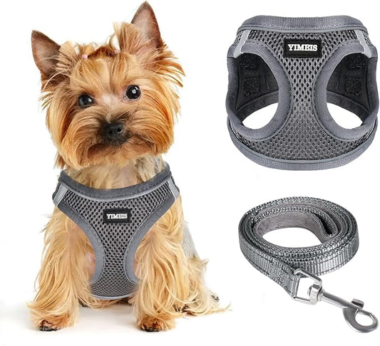 Dog Harness for Small Dogs and Leash Set, Honeycomb Grid, Reflective Lightweight Harness & Anti-Twist Pet Lead (Multi Color, Size: XS-S-M) (M, Grey)