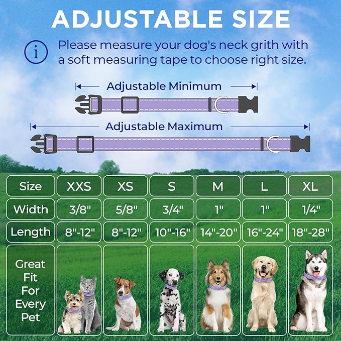 TECEUM Reflective Pet Collar – Lavender – XS – Extra Soft Padding – Basic Nylon Dog Collar – Quick Release Buckle – Fits Small, Medium and Large Dogs, Puppies, Cats – ESA & Service Dog Options
