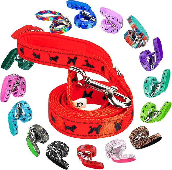 EcoBark Dog Leash - Soft & Reflective Comfort Training Leashes with Padded Handle - Strong Durable Heavy Duty - Training and Pulling for Small, Medium or Large Dogs (Orange)