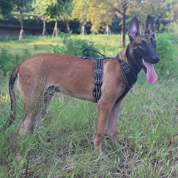 ICEFANG Dog Strap Harness with 4 x Metal Buckles,for Large Sized Dog,K9 Vest,Y-Shape Chest,Adjustable Pet Harness,No-Pull Front Leash Clip (Large (Pack of 1), Black)