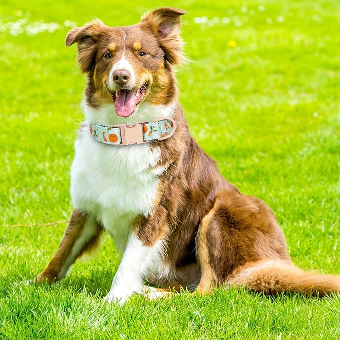 Dog Collar and Leash Set Girls Adjustable Puppy Collars with Fruit Bow Tie for Small Medium Large Female Dogs, Green Orange, M