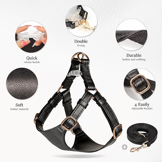 Didog Small Dog Harness and Leash Set, Soft & Lightweight Dog Vest Harness, Adjustable Leather Dog Harness for Small Dogs, Black, S