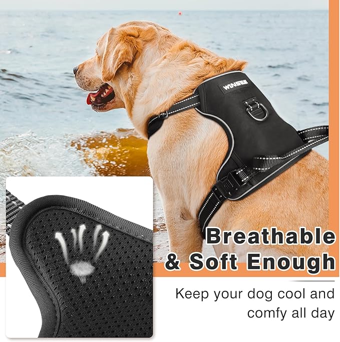 WINSEE Dog Harness No Pull, Adjustable Pet Vest with Front/Back Leash Clips, Reflective Soft Padded Dog Harness for Small Dogs, Easy Control Handle for Walking