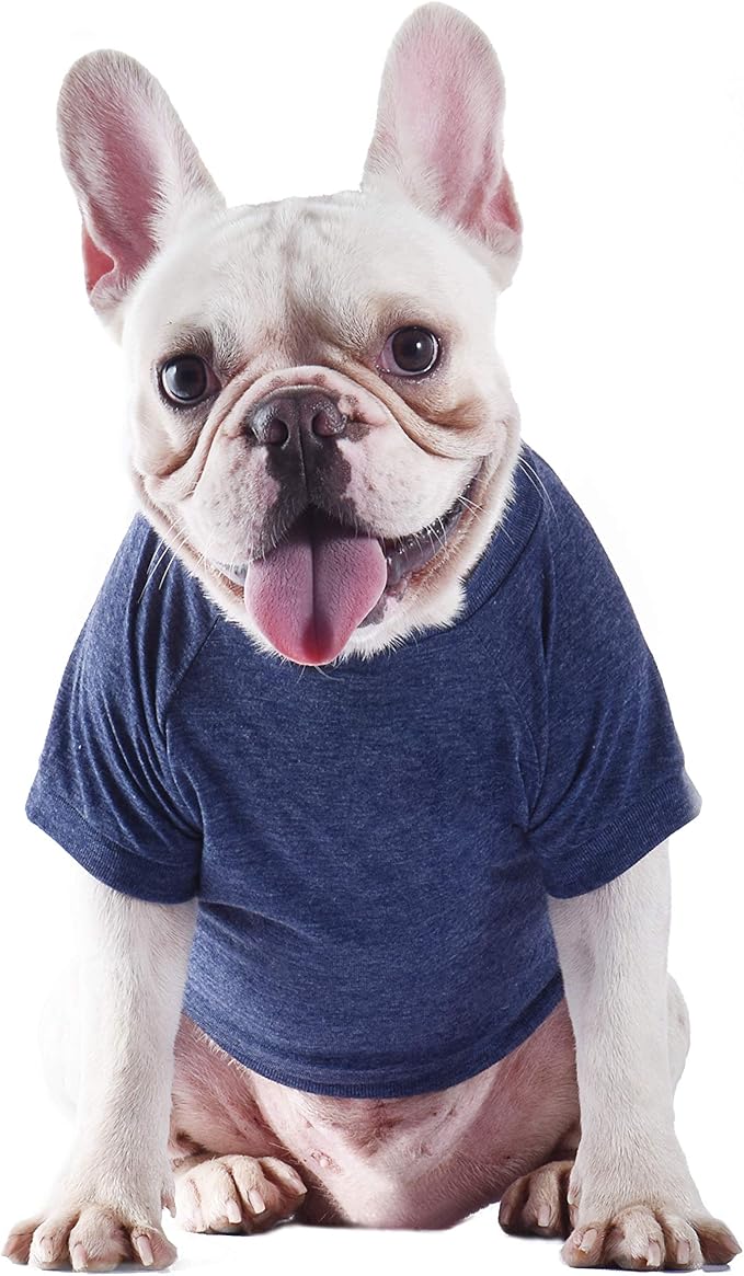 Star Wars for Pets Yoda Wisdom Dog Tee | Star Wars Dog Shirt for Large Dogs | Size Large | Soft, Cute, and Comfortable Dog Clothing and Apparel, Cute Dog Clothes