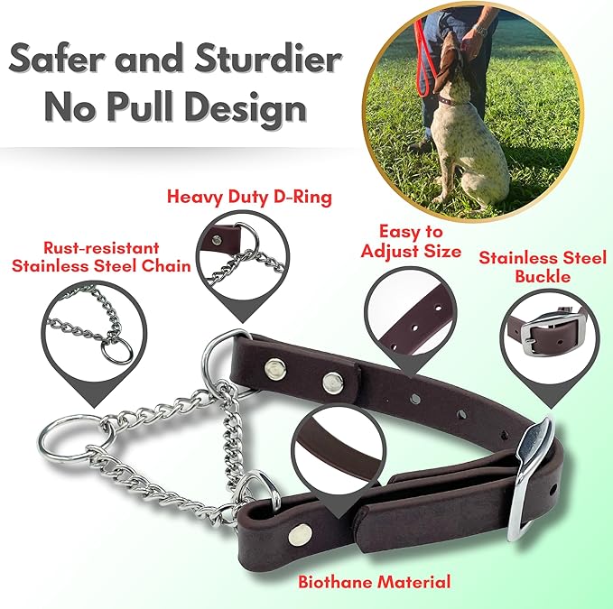 Martingale Collar for Dogs, Biothane, Stainless Steel Hardware, No Pull, Made in The USA, Professional Grade, XXL, Brown