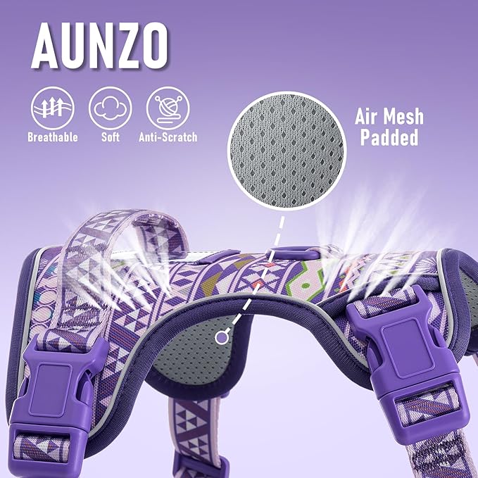 Dog Harness for X-Small Dog Breed, Light Pet Vest Harness with 2 Leash Clips and 3 Buckles, Easy to Wear, Adjustable Reflective Soft Padded, Boston Terrier, Poodles, XS