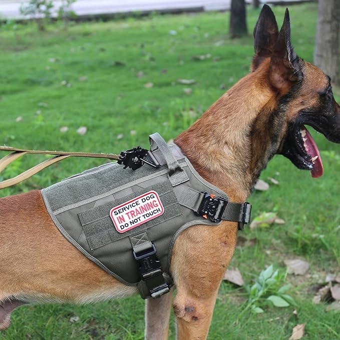 ICEFANG Tactical Dog Harness,Large Size, 2X Metal Buckle,Working Dog MOLLE Vest with Handle,No Pulling Front Leash Clip,Hook and Loop Panel