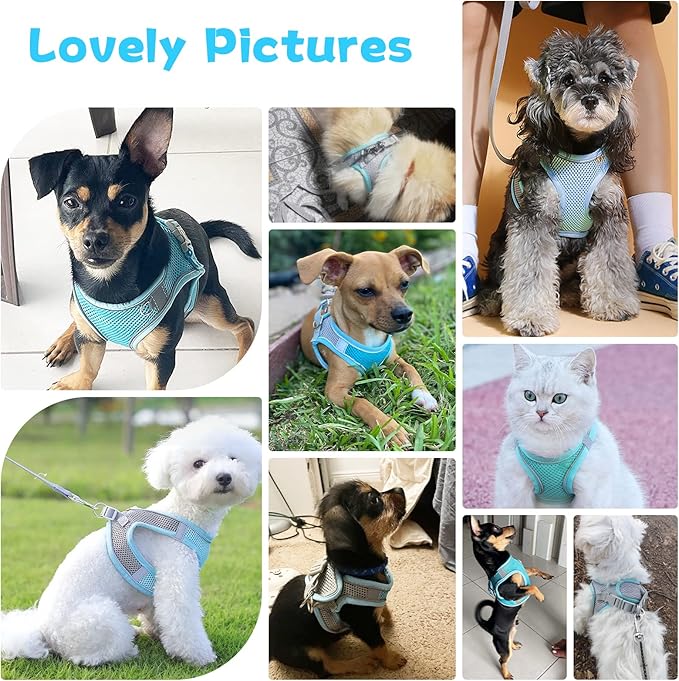 Soft Small Dog Harness and Leash Set Mesh Puppy Harnesses Leash Easy Walk Dog Harness Vest Adjustable Reflective No Pull Dog Harnesses for Small Dogs Cats (Blue Grey,L)