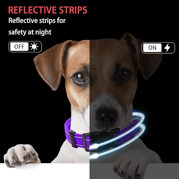Reflective Dog Collar with Safety Locking Buckle, Adjustable Soft Breathable Nylon Collars for Small, Medium and Large Dogs(Collar+Leash L Purple)