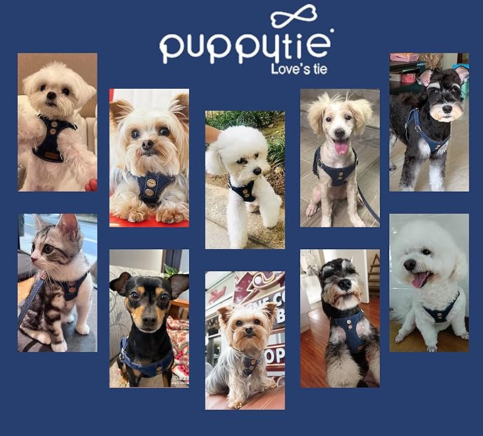 No Pull Small Dog Harness with Multifunction Dog Leash,Lightweight Soft Adjustable No Choke Escape Proof Pet Harness Vest Pet Harness Vest,Denim Blue,S