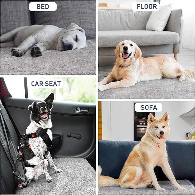 Kritter Planet Waterproof Puppy Blanket for Small Dogs, Pee Proof Sherpa Fleece Pet Blanket, Reversible Cover for Couch Bed, Liquid Proof Furniture Protector