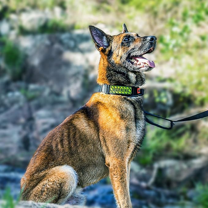 OneTigris Tough Dog Collars, Tactical Dog Collar with Handle, Milltary Adjustable Dog Collar with Heavy Duty Metal Buckle for Training (Large(Pack of 1), Black)