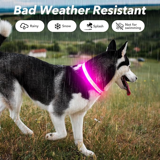 Visinite Light Up Dog Collars, Lighted Dog Collars Rechargeable Waterproof, Dog Glow Collar for Pet Safety Dog Lights Night Walking, Fully Adjustable Led Dog Collar for Small Medium Large Dogs