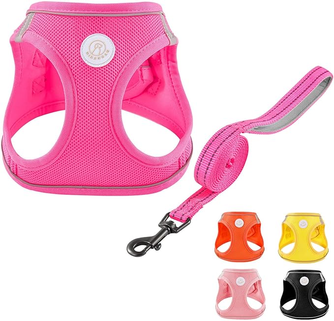 Soft Mesh Dog Harness and Leash Set, No Pull Puppy Harness and Leash Set, Reflective Step in Harness for Small Medium Dogs, Easy Walk Escape Proof Vest Harnesses (Rose Red, L)