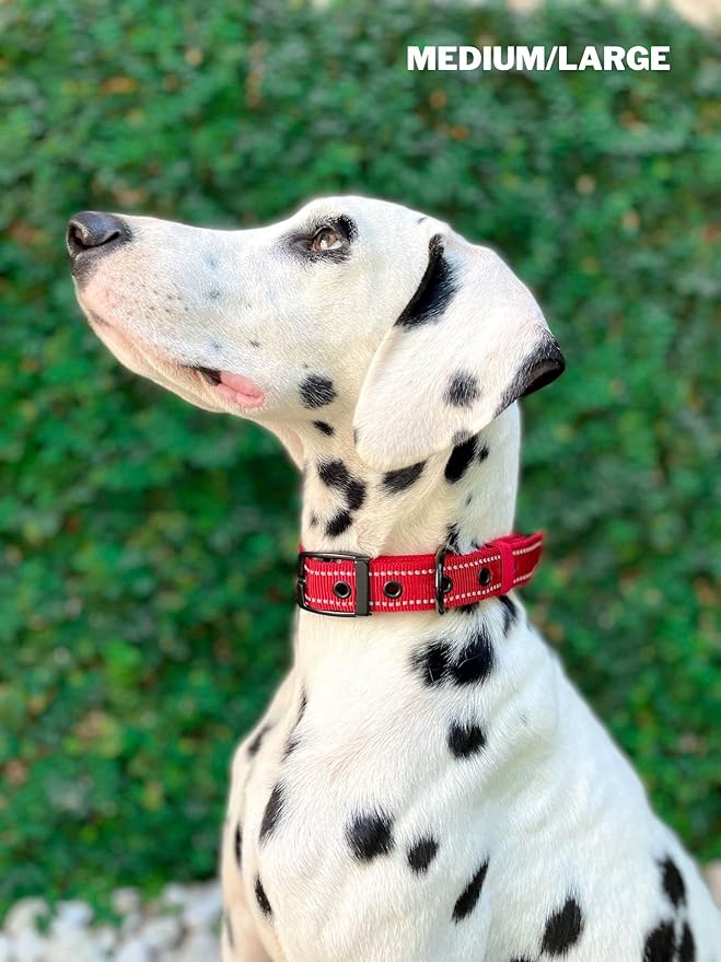 Heavy Duty Dog Collar with Handle | Ballistic Nylon Heavy Duty Collar | Padded Reflective Dog Collar with Adjustable Stainless Steel Hardware | Convenient Sizing for All Breeds