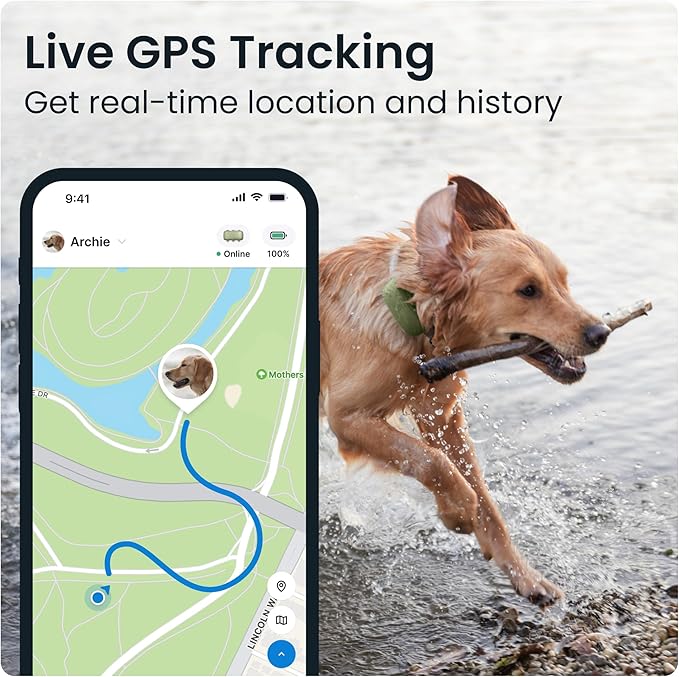 Tractive XL GPS Dog Tracker (50 lbs+) | Real-time Pet Location Tracker | Health & Wellness Alerts | Virtual Fence for Dogs | Dog Collar Attachment (Green)