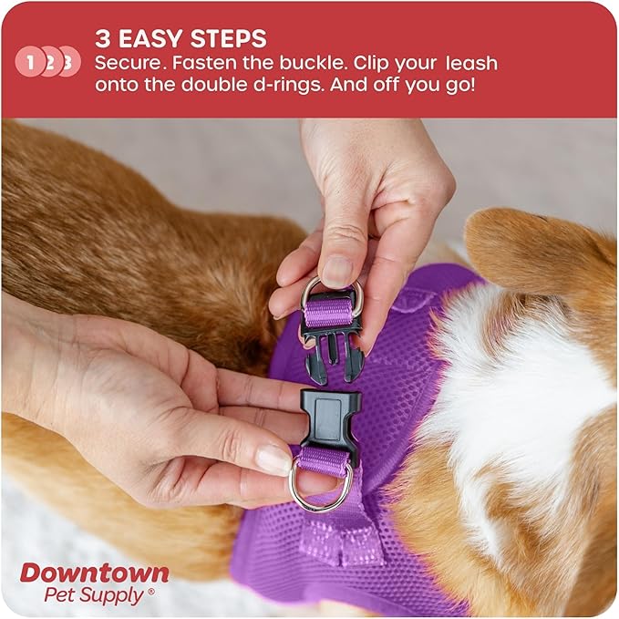 Downtown Pet Supply Step in Dog Harness for Small Dogs No Pull, Small, Purple - Adjustable Harness with Padded Mesh Fabric and Reflective Trim - Buckle Strap Harness for Dogs