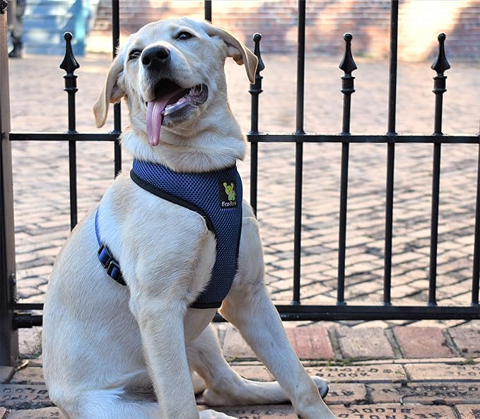 EcoBark Dog Harness - Eco-Friendly Max Comfort Harnesses - Luxurious Soft Mesh Halter - Over The Head Harness Vest- No Pull and No Choke for Small, Toy Breed, and Teacup Dogs (XS, Navy)