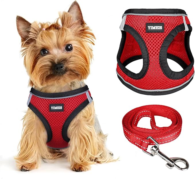 Dog Harness for Small Dogs and Leash Set, Honeycomb Grid, Reflective Lightweight Harness & Anti-Twist Pet Lead Multi Color, Size: XS-S-M. (S, Black & Red)