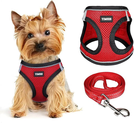Dog Harness for Small Dogs and Leash Set, Honeycomb Grid, Reflective Lightweight Harness & Anti-Twist Pet Lead Multi Color, Size: XS-S-M. (M, Black & Red)