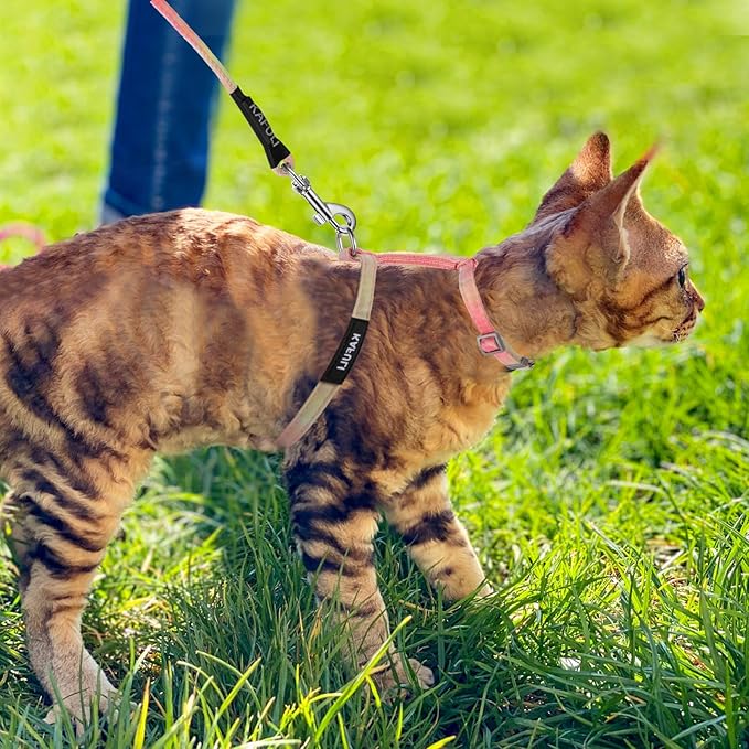 Giantree Cat Harness with Leash and Collar Set, Adjustable H-Shaped Kitten Harness Escape Proof Harness Glow in The Dark for Kitty Outdoor Walking (Orange)