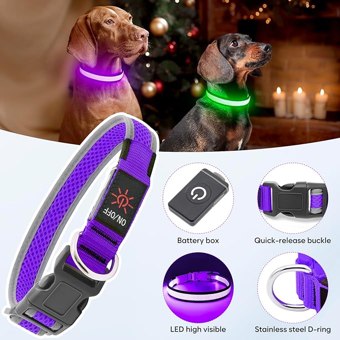 Flashseen LED Dog Collar, Light Up Dog Collar Light USB Rechargeable, Adjustable Comfortable Soft Mesh Safety Dog Collar for Small, Medium, Large Dogs(Large, Purple)
