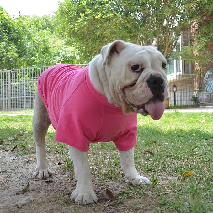 Lovelonglong Bulldog Clothes Dog Clothing Blank T-Shirt Tee Shirts for French Bulldog English Bulldog American Pit Bull Pugs 100% Cotton Skin Care Rose-red B-S