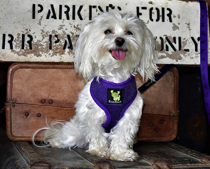 EcoBark Dog Harness - Eco-Friendly Max Comfort Harnesses - Luxurious Soft Mesh Halter - Over The Head Harness Vest- No Pull and No Choke for Small, Toy Breed, and Teacup Dogs (XS, Purple)