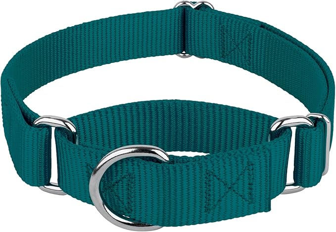 Country Brook Petz Martingale Dog Collar - Heavy-Duty Training Collar with No Buckle - Service Dog Collar for All Pups - Vibrant, Colorful Collection (Teal, 1 Inch, Large)