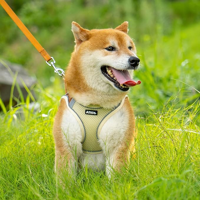 AIITLE Comfortable Dog Harness and Leash Set for Walking - Spring Step in Vest Harness,Reflective Bands, Adjustable No Pull Puppy Essentials, for Small Dogs and House Cats Beige XS