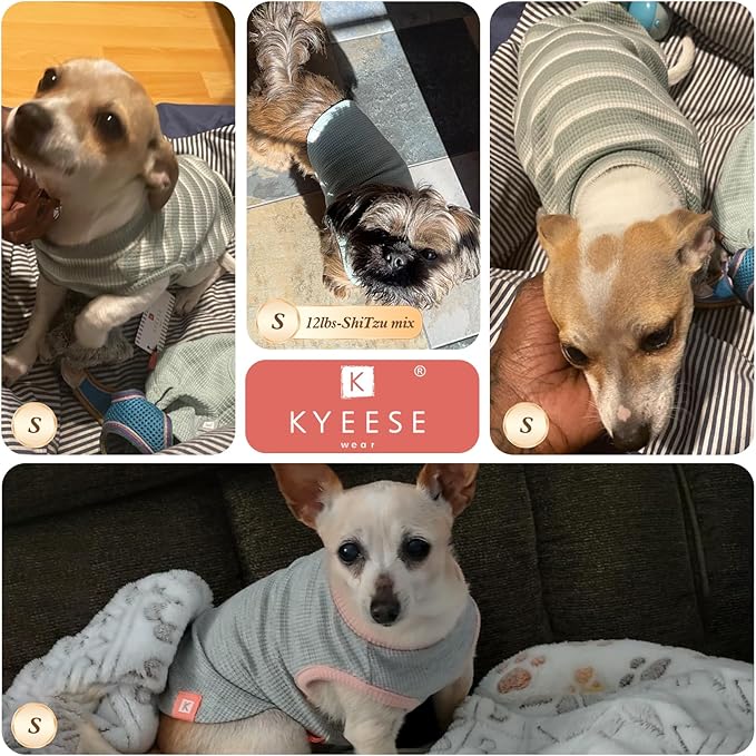 KYEESE 2Pack Dog Shirts Waffle for Small Dogs, Stretchy and Comfortable Dog T-Shirts, Lightweight Sleeveless Tank Top, Breathable Vest, Cat Shirt, Small, Purple + Grey