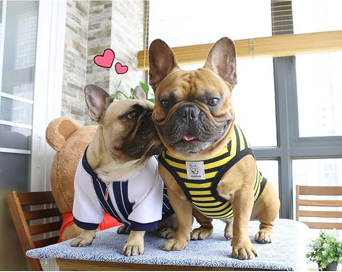 iChoue English Bulldog 100% Breathable Cotton Striped T Shirts Halloween Vest Clothes for Medium Dogs Tank Tops French Frenchie Pug Boston Terrier Pitbull Yellow Black Stripes - XXLarge