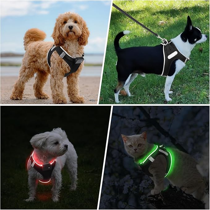 PceoTllar Light Up Dog Harness, LED No Pull Reflective Dog Harness, Flashing Lighted for Night Walking - Small/Medium, (Black Red,L)