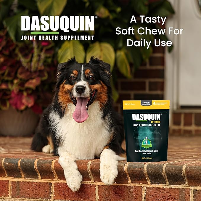 Nutramax Laboratories Dasuquin with MSM Joint Health Supplement for Small to Medium Dogs - With Glucosamine, MSM, Chondroitin, ASU, Boswellia Serrata Extract, and Green Tea Extract, 84 Soft Chews