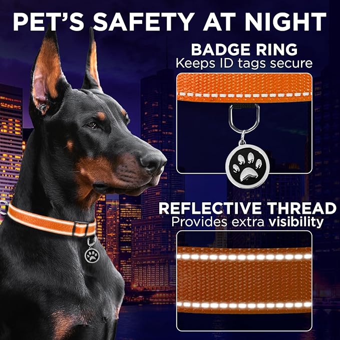 TECEUM Reflective Pet Collar – Orange – XL – Extra Soft Padding – Basic Nylon Dog Collar – Quick Release Buckle – Fits Small, Medium and Large Dogs, Puppies, Cats – ESA & Service Dog Options