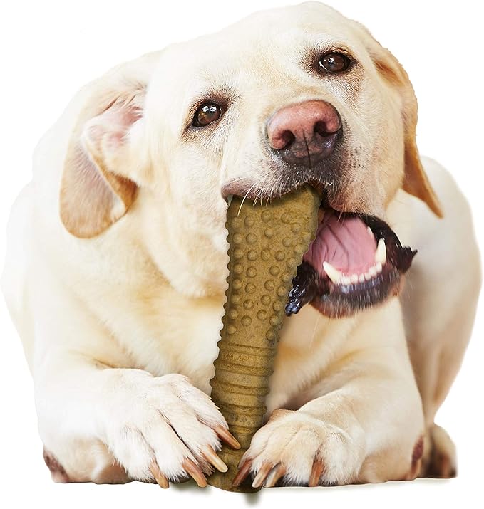 Nylabone Healthy Edibles Natural Dog Chews Long Lasting Peanut Butter Flavor Treats for Dogs, X-Large/Souper (1 Count)