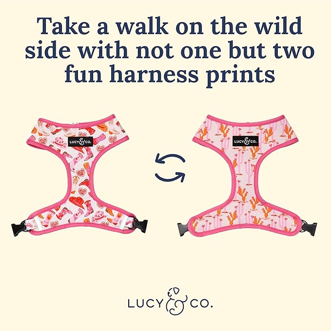 Lucy & Co. Cute Reversible Dog Harness Walking Halter - Best Designer Pet Harnesses for XS - XL Dogs - Padded Adjustable Vest for Easy Walking. (Howdy, Honey Reversible Harness).