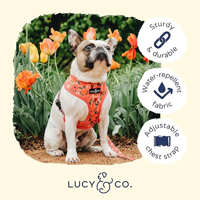 Lucy & Co. Posy Pink, Cute Reversible Dog Harness Walking Halter - Best Designer Pet Harnesses for Medium Dogs - Padded Adjustable Vest for Easy Walking (X-Small)