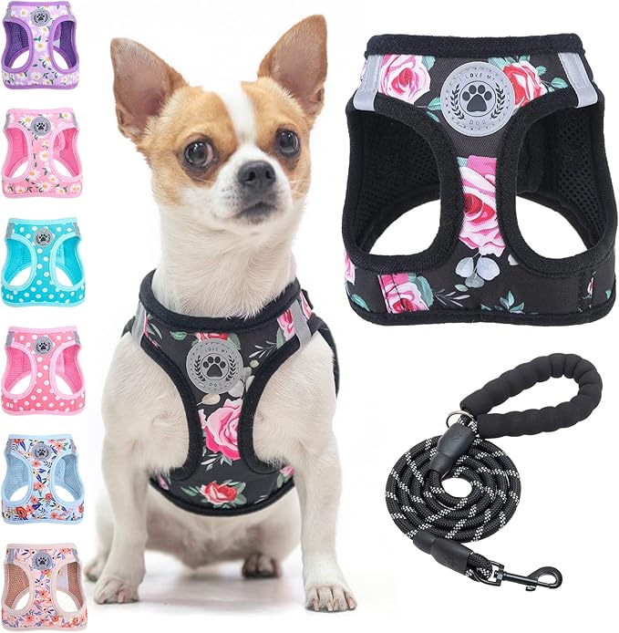 BEAUTYZOO Step in Dog Harness and Leash Set, Floral Pattern Reflective Dog Harness No Pull No Choke Puppy Harness for XXS XS S Dogs Cats, Soft Padded Mesh Vest Harnesses for Girl and Boy Pets
