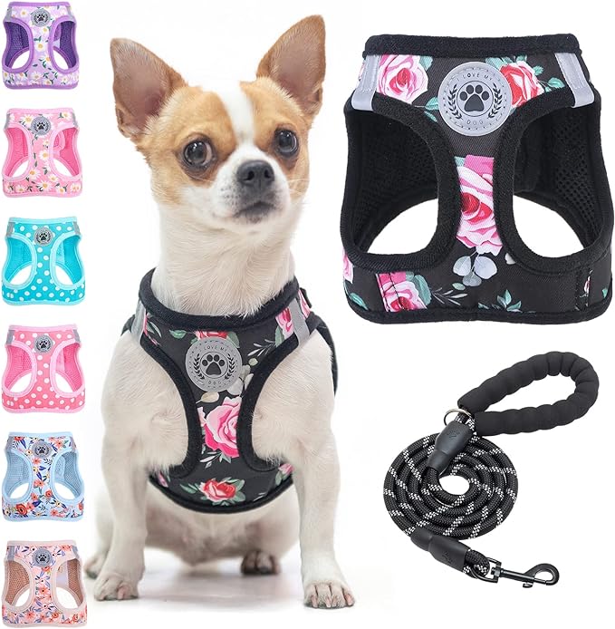 BEAUTYZOO Step in Dog Leash Set, Floral Pattern Reflective Harness No Pull No Choke Puppy Harness for XXS XS S Pets, Soft Padded Mesh Vest for Girl and Boy Dogs and Cats