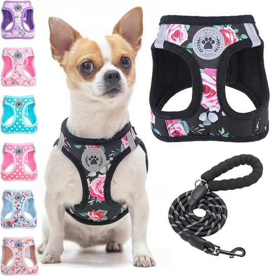 BEAUTYZOO Step in Dog Leash Set, Floral Pattern Reflective Harness No Pull No Choke Puppy Harness for XXS XS S Pets, Soft Padded Mesh Vest for Girl and Boy Dogs and Cats