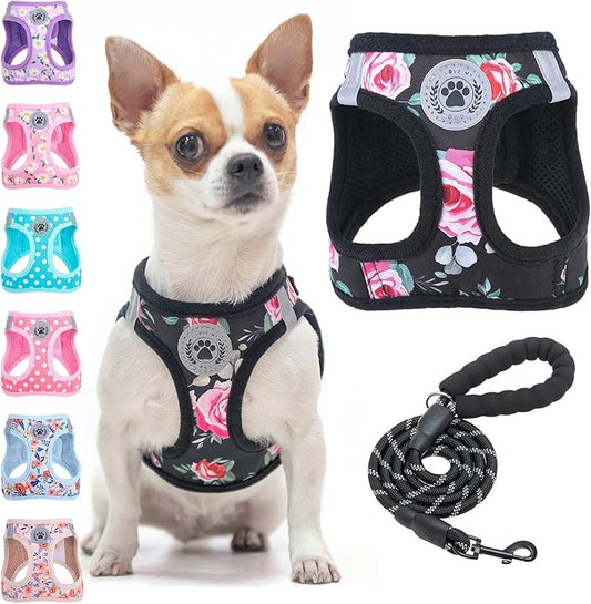 BEAUTYZOO Step in Dog Harness and Leash Set, Floral Pattern Reflective Dog Harness No Pull No Choke Puppy Harness for XXS XS S Dogs Cats, Soft Padded Mesh Vest Harnesses for Girl and Boy Pets