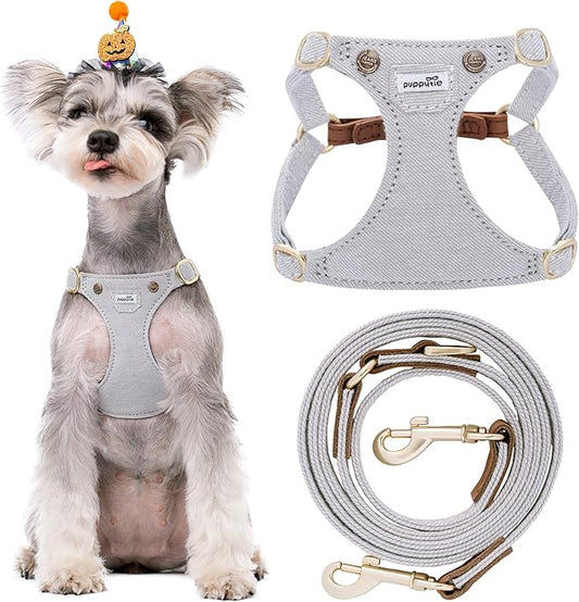 Puppytie No Pull Small Dog Harness with Multifunction Dog Leash,Lightweight Soft Adjustable No Choke Escape Proof Pet Harness Vest Pet Harness Vest,Denim Gray,S