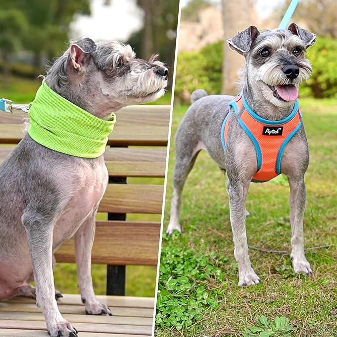 PUPTECK Adjustable Dog Harness Collar and Leash Set Step in No Pull Pet Harness for Small Medium Dogs Puppy and Cats Outdoor Walking Running, Soft Mesh Padded Reflective Vest Harnesses, OrangeRed L
